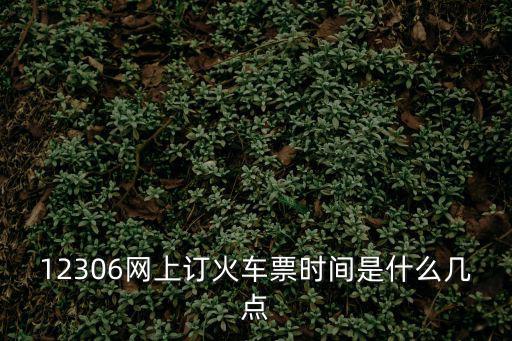 12306網上訂火車票時間是什么幾點