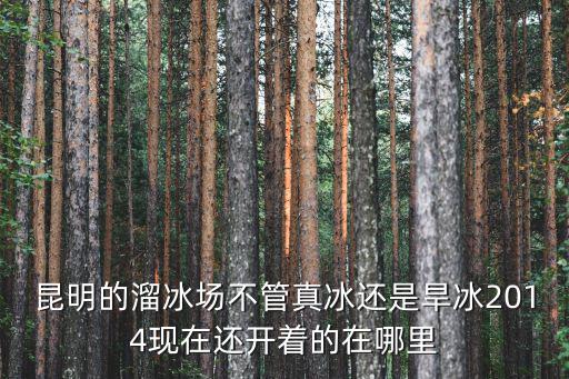 昆明的溜冰場不管真冰還是旱冰2014現在還開著的在哪里