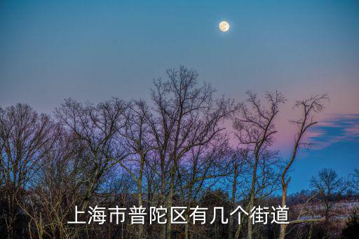 上海市普陀區有幾個街道