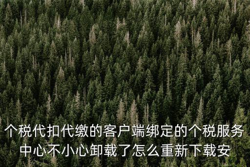 個(gè)稅服務(wù)中心，個(gè)人所得稅大廳在哪