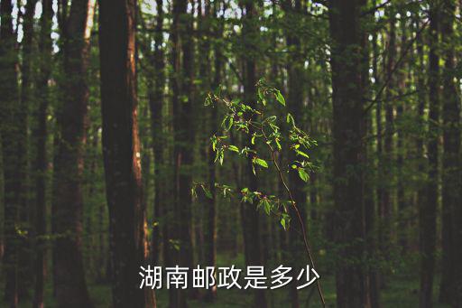 湖南郵政是多少