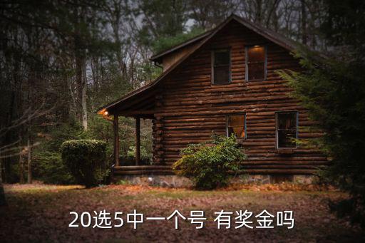 20選5中一個號 有獎金嗎