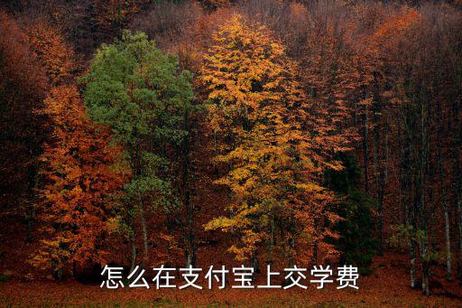 網上交學費怎么交，學生網上繳費怎么交