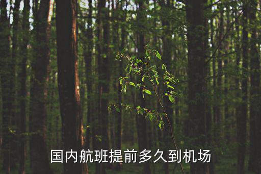國內航班，國內航班提前多久值機