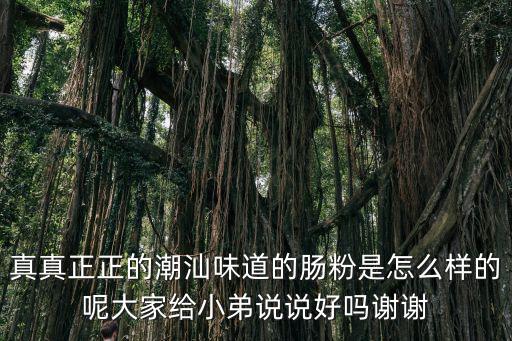 潮汕腸粉，腸粉是不是潮汕美食