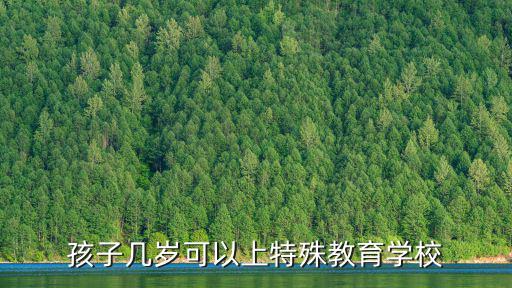 特殊兒童學校，什么是特殊教育學校