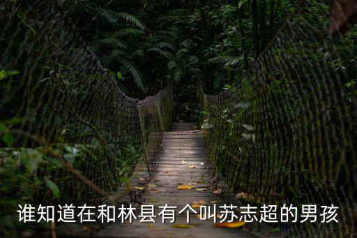 誰知道在和林縣有個叫蘇志超的男孩