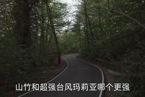 臺風瑪莉亞，瑪麗亞臺風