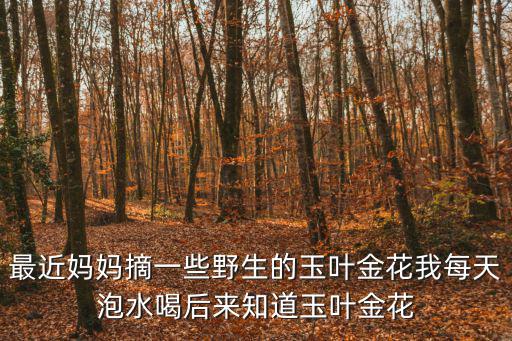 最近媽媽摘一些野生的玉葉金花我每天泡水喝后來知道玉葉金花