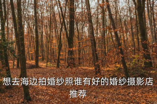 想去海邊拍婚紗照誰有好的婚紗攝影店推薦