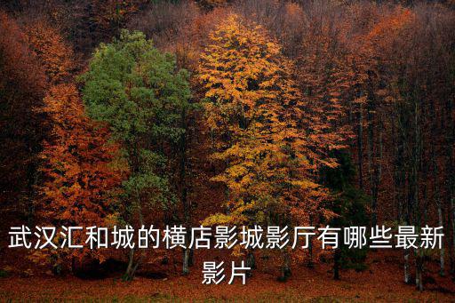 武漢匯和城的橫店影城影廳有哪些最新影片