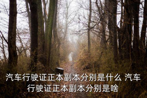 行駛證正副本，車輛行駛證副本是什么
