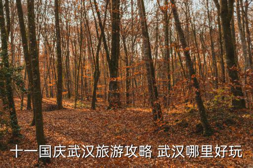 十一國慶武漢旅游攻略 武漢哪里好玩