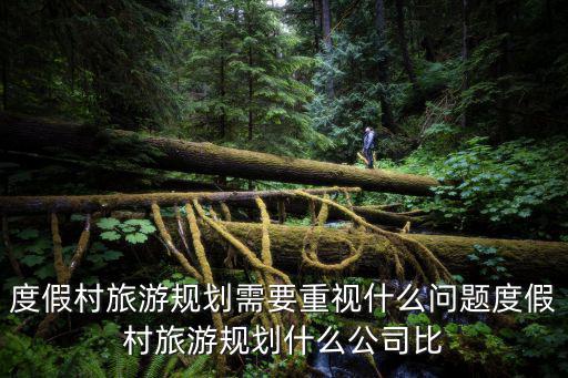 度假村旅游規(guī)劃需要重視什么問(wèn)題度假村旅游規(guī)劃什么公司比