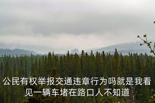 交通違法舉報，公民有權舉報交通違章行為嗎就是我看見一輛車堵在路口人不知道
