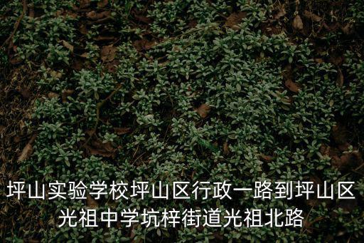 坪山實驗學校坪山區行政一路到坪山區光祖中學坑梓街道光祖北路