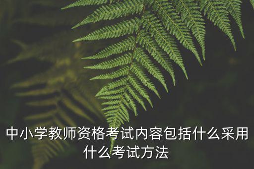 中小學教師資格考試內容包括什么采用什么考試方法