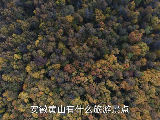 安徽黃山有什么旅游景點