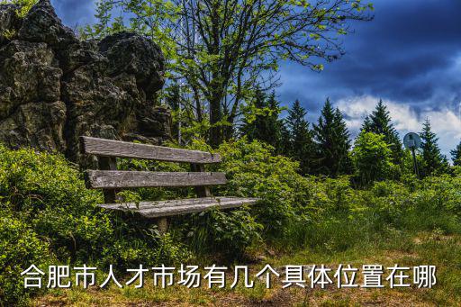 合肥市人才市場有幾個具體位置在哪
