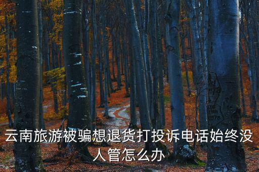 云南旅游投訴電話，微信12301投訴云南旅游購物欺詐會成功嘛