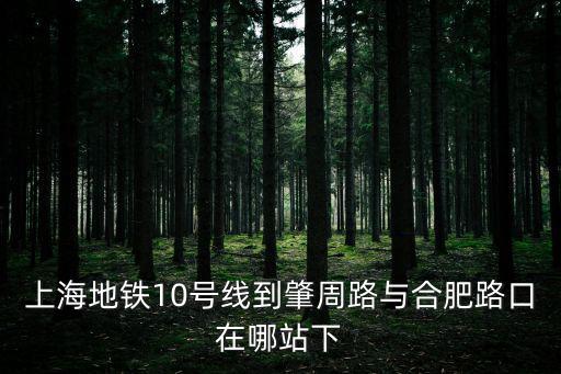 上海地鐵10號線到肇周路與合肥路口在哪站下