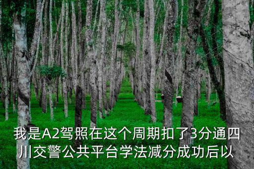 我是A2駕照在這個周期扣了3分通四川交警公共平臺學法減分成功后以