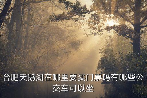 合肥天鵝湖在哪里要買門票嗎有哪些公交車可以坐