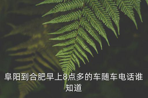 阜陽到合肥早上8點多的車隨車電話誰知道
