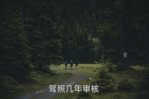 駕照幾年審核