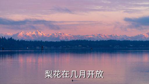 梨花幾月份開花，梨花在幾月開放