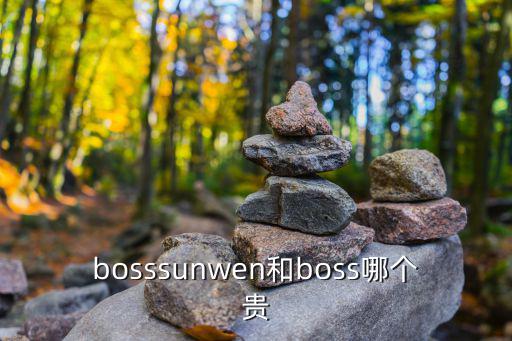 bosssunwen和boss哪個貴
