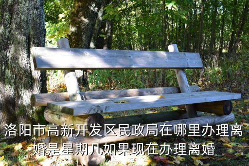 洛陽市高新開發(fā)區(qū)民政局在哪里辦理離婚是星期幾如果現(xiàn)在辦理離婚