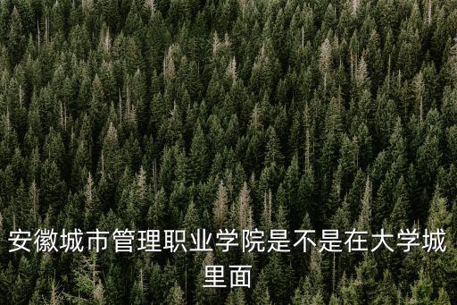 安徽城市管理職業學院是不是在大學城里面