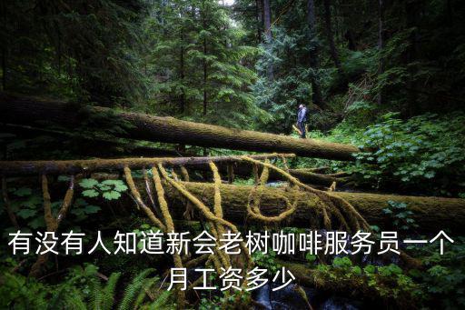 有沒有人知道新會老樹咖啡服務員一個月工資多少