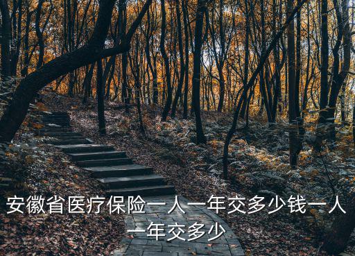 安徽省醫(yī)療保險(xiǎn)一人一年交多少錢一人一年交多少