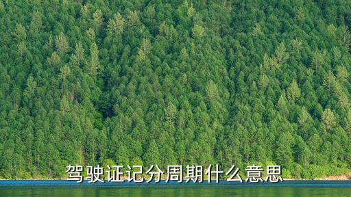 駕駛證記分周期什么意思