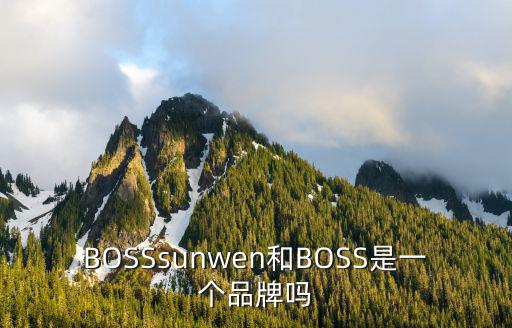 BOSSsunwen和BOSS是一個品牌嗎
