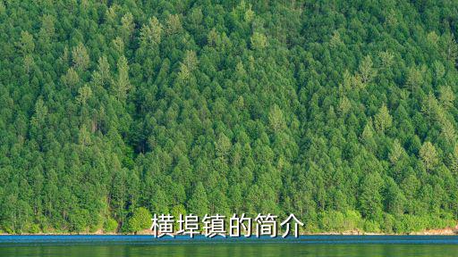 樅陽縣橫埠鎮，樅陽縣橫埠鎮的介紹