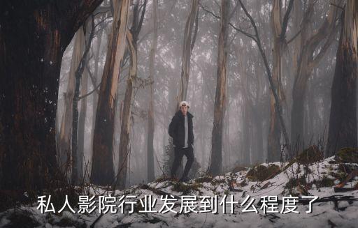 私人影院行業(yè)發(fā)展到什么程度了