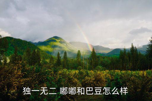 嘟嘟和巴豆，獨一無二 嘟嘟和巴豆怎么樣