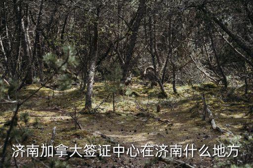濟南加拿大簽證中心在濟南什么地方