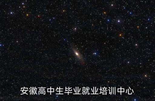 安徽省陽光就業網上服務大廳官網，阜陽小米售后服務網點在什么地方