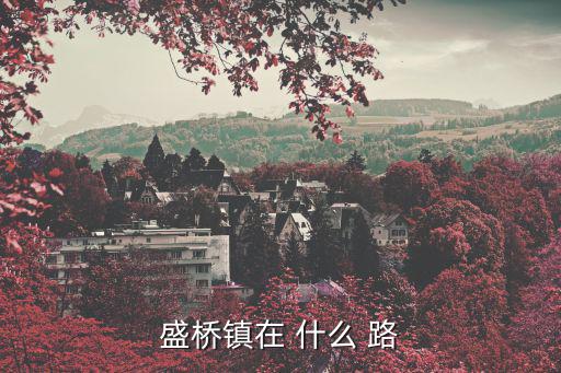盛橋鎮在 什么 路