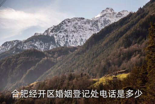 合肥經開區婚姻登記處電話是多少