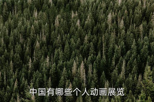 中國有哪些個人動畫展覽