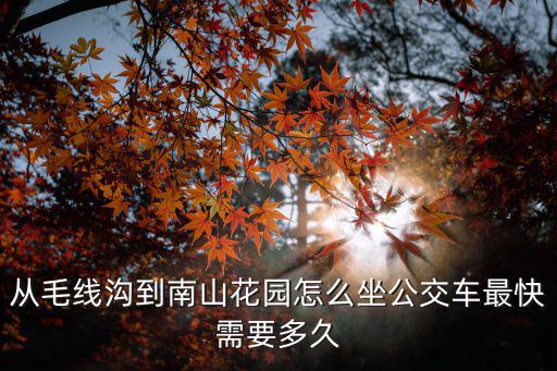 從毛線溝到南山花園怎么坐公交車最快需要多久