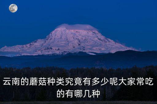 云南的蘑菇種類究竟有多少呢大家常吃的有哪幾種