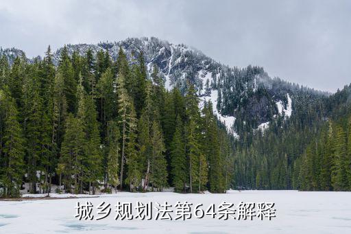 城鄉(xiāng)規(guī)劃法第64條解釋