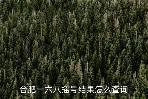 合肥一六八搖號結果怎么查詢
