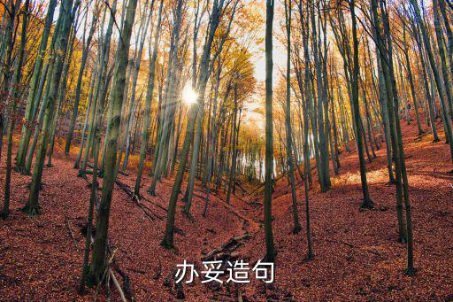 辦妥造句
